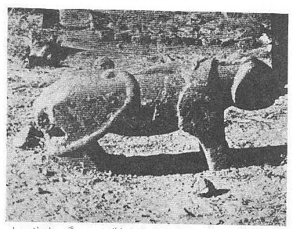 شیر سنگی قبر سلطان اویس که دیگر سرجایش نیست